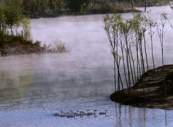 仙境中国梨博园（10张） 