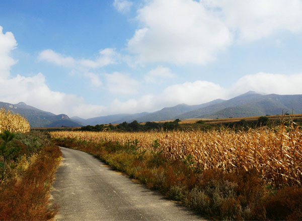 一路金秋隰州行（5张） 