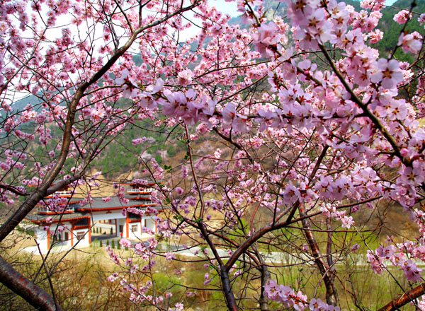 七里峪风光(26张)