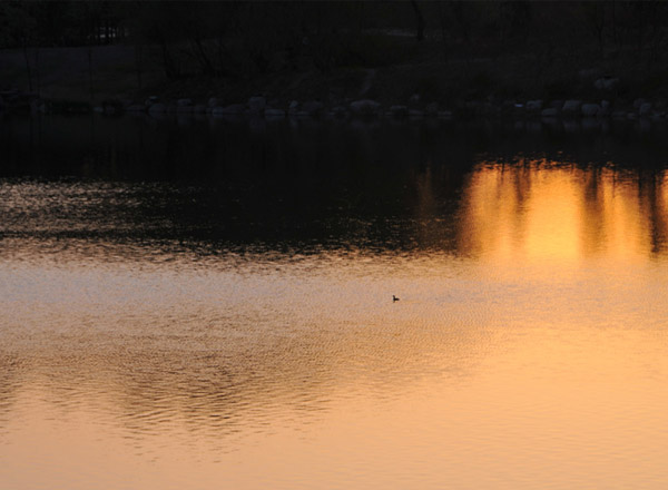 美丽的滨河公园（17张） 