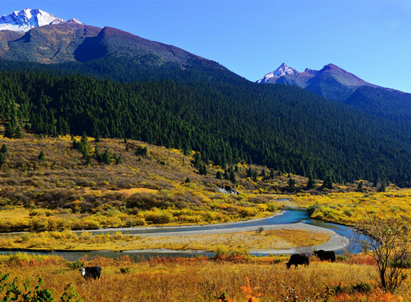 【把灵魂留在林芝】神秘之沟（16张） 