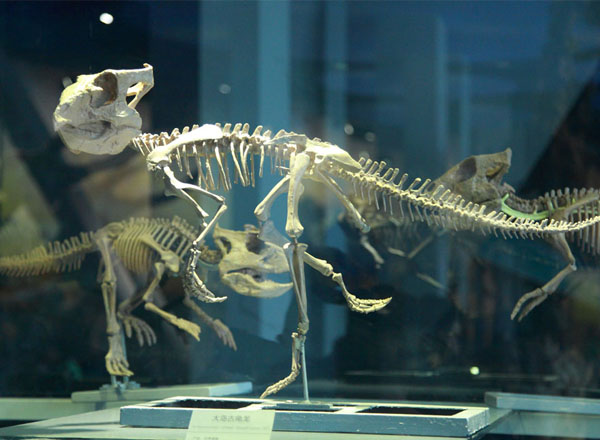 科普采风缩影（24张）