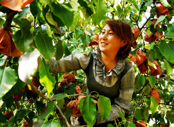 梨园“模特”孙云玲(5张)