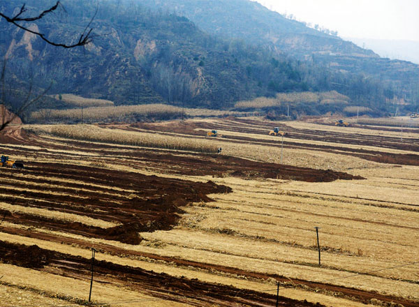 隰县“玉露香”的诗行（6张）