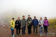 尧都区摄影人关注安泽的连翘花