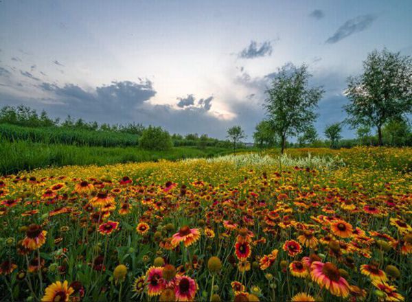 田园美景（7张）