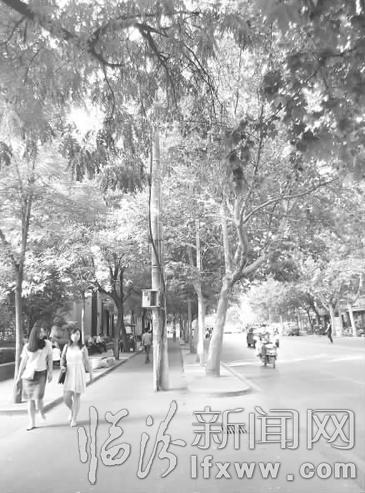 临汾:迎春北街一“霸道”电线杆留隐患