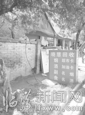 临汾市区街道两旁的绿化带被毁严重