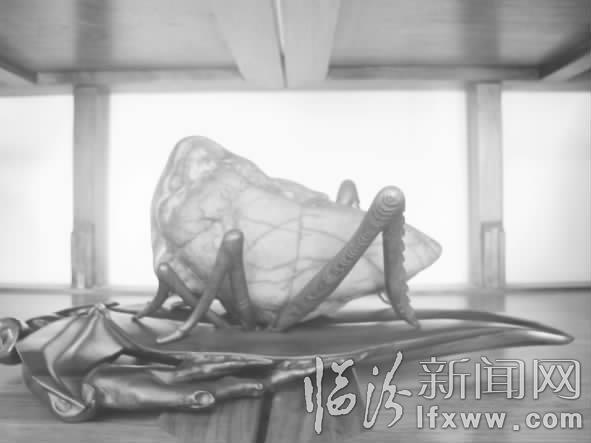 临汾张晨的雕琢快乐人生