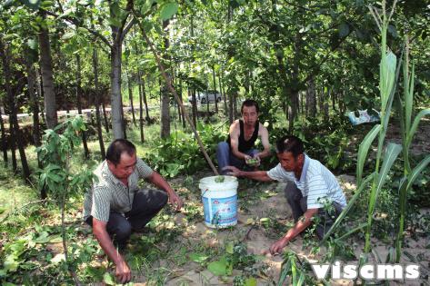 霍州龙泉村:生态文明宜居新家园