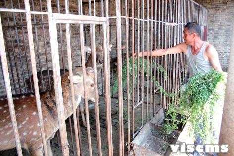 霍州龙泉村:生态文明宜居新家园