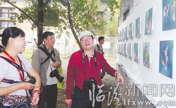 平遥国际影展中的临汾元素