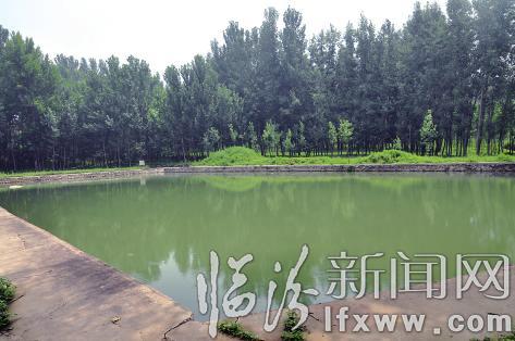 霍州石鼻村:革命老区里飞出幸福欢乐歌