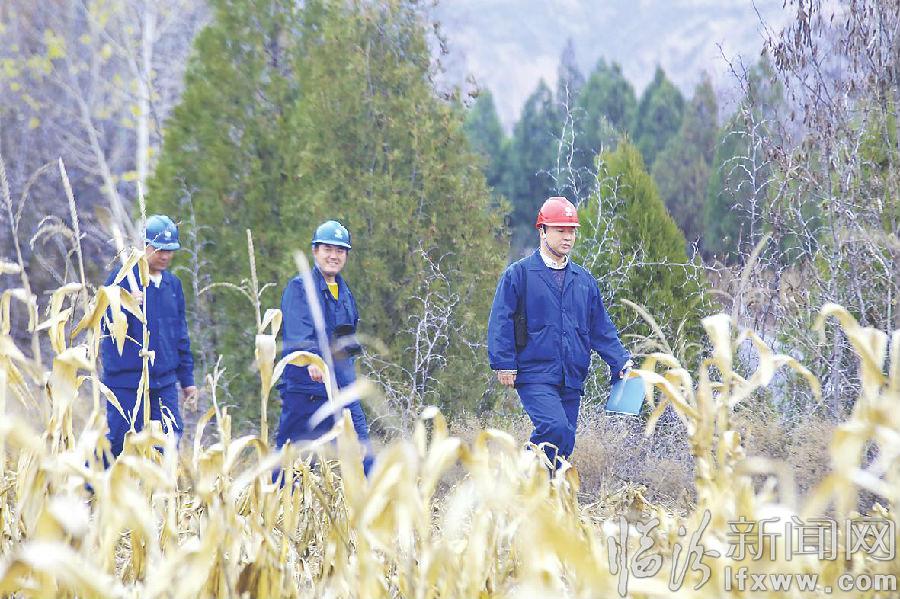 大宁电力巡线工:奔走在山间的“光明守护者”