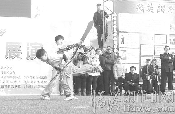 洪洞:槐乡展演传统武术