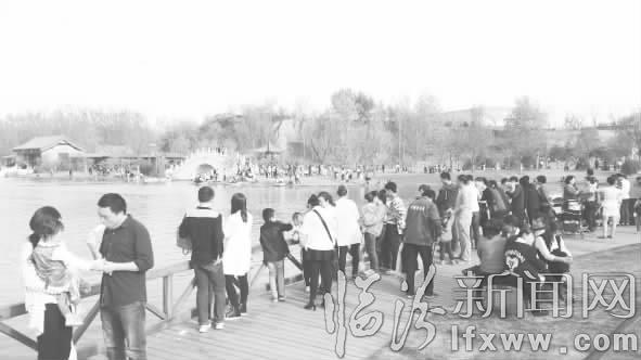 临汾涝洰河公园醉游人 郁金香海美不胜收