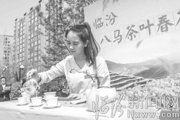 品春茶传技巧 临汾八马举办春茶节活动