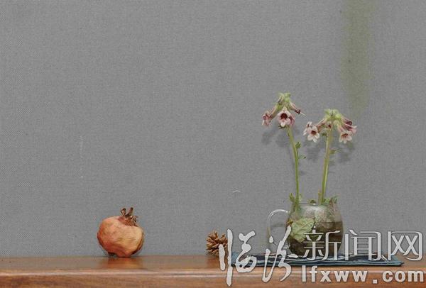 “林深不语”三斯堂藏画展在山西师范大学美术馆开展