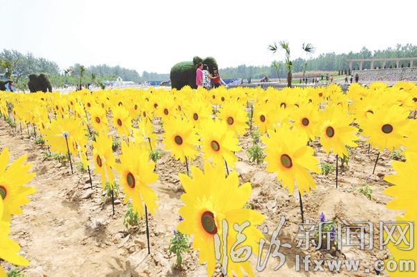 侯马普罗旺斯叫你去踏青 50万只风车为你盛开