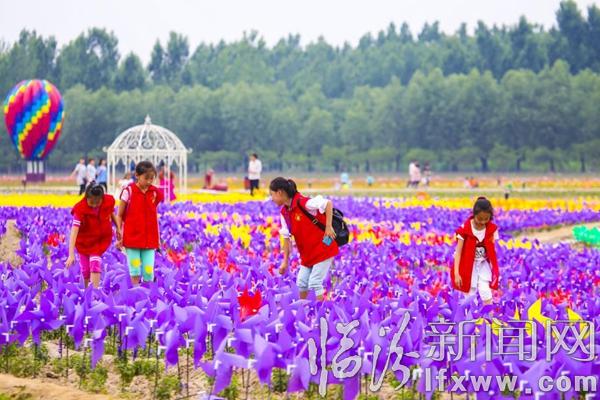 临汾晚报小记者畅游“普罗旺斯”