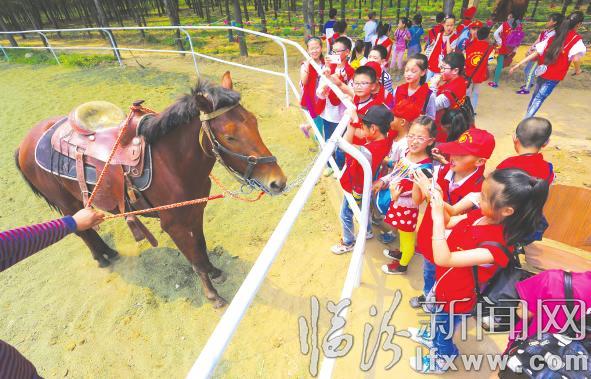 临汾晚报小记者畅游“普罗旺斯”