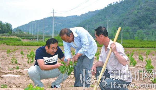 大宁岳耀增:情系百姓办实事