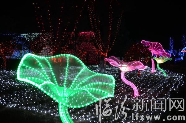 曲沃首届太子湖国际梦幻灯光节开幕