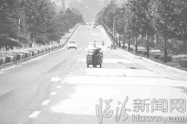 襄汾:马路晒麦 既危险又有害