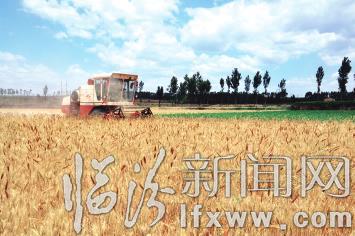 临汾市集结7万台“铁牛”龙口夺粮鏖战“三夏”