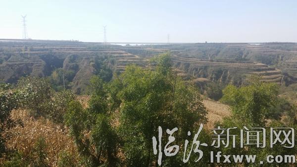 【散文】认知驼腰