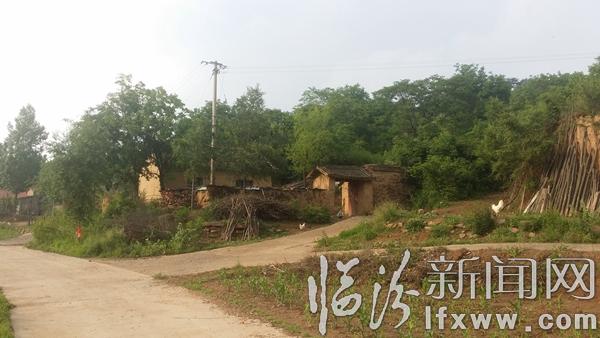 【散文】认知驼腰