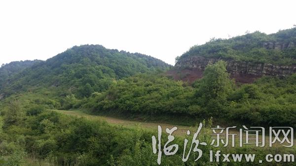 【散文】认知驼腰