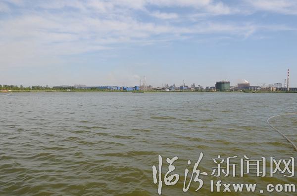 曲沃:看见申园 印象申园