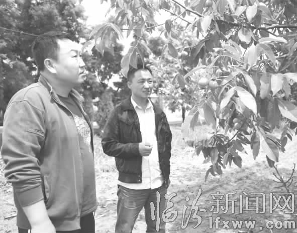 古县张震:深入百姓之中 为农民做实事