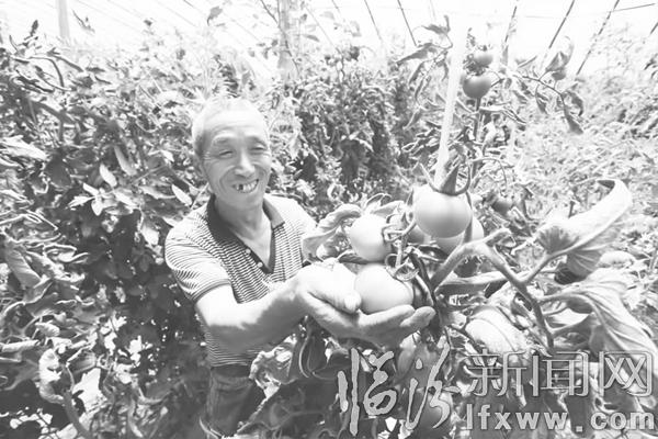 浮山“印象田园” 农民致富的“聚宝盆”