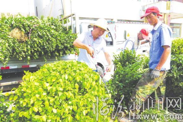 临汾:挥汗如雨 坚守岗位洒心血