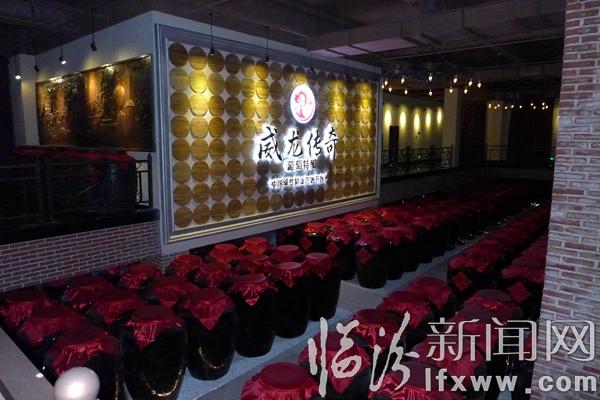 威龙葡萄酒有机之旅 让消费者零距离体验有机品质