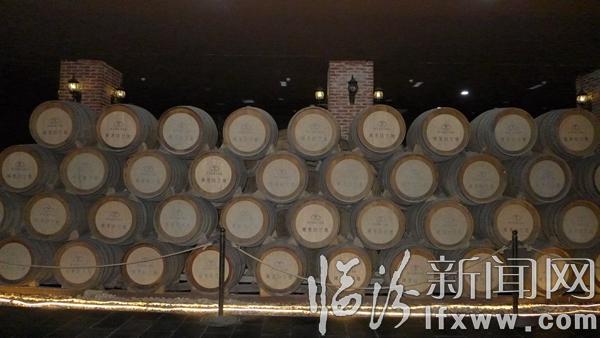 威龙葡萄酒有机之旅 让消费者零距离体验有机品质