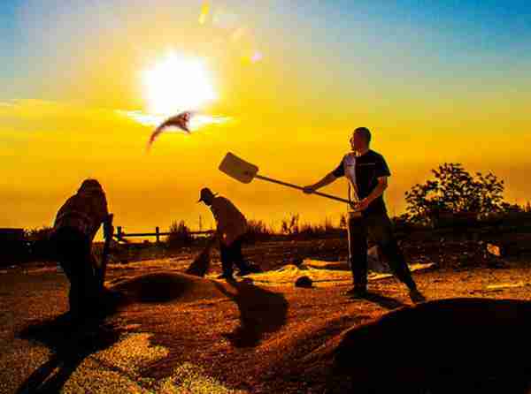 幸福生活（10张）