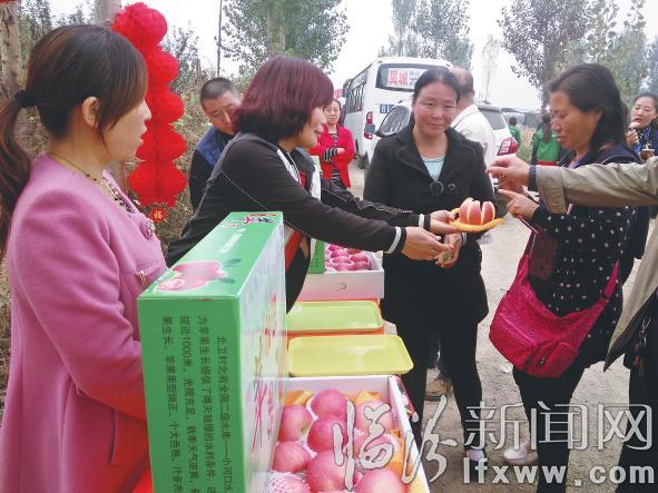 翼城隆化镇:芬芳果香扑面来