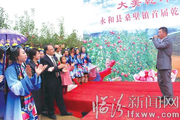 永和桑壁镇:小苹果打造致富新品牌
