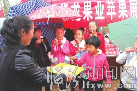 永和桑壁镇:小苹果打造致富新品牌