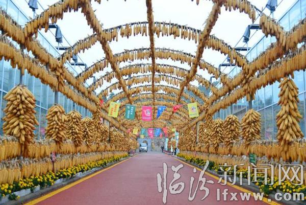 6、阳城农业嘉年华古色古香的粮食走廊.jpg
