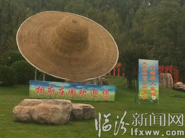 5、相府庄园内“最大草帽”正在申办吉尼斯世界纪录.jpg