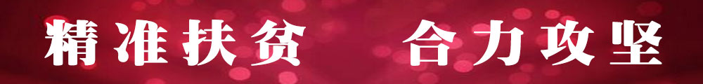 精准扶贫合力攻坚