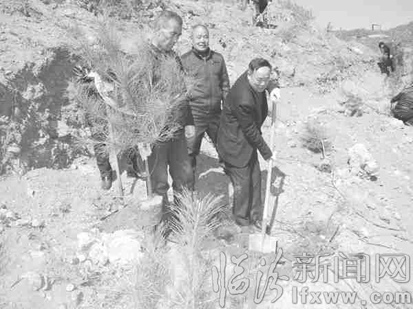 徐靖华(右一)带领村民在荒山上植树造林