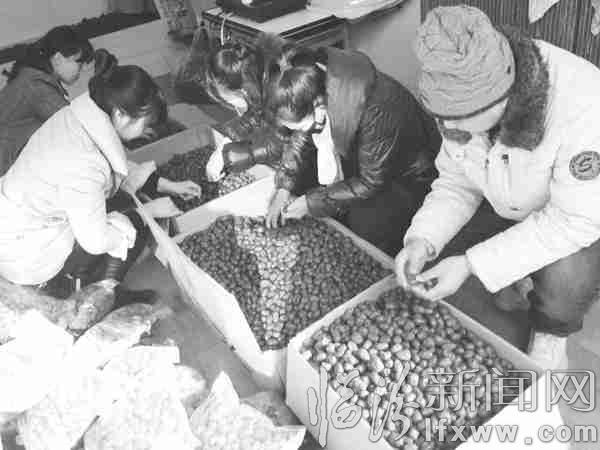 市名优商品展销中心工作人员正在分拣红枣