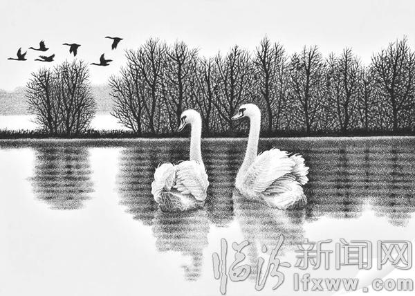 浮山90后男孩刘凯钢笔画天鹅之爱登上央视新闻