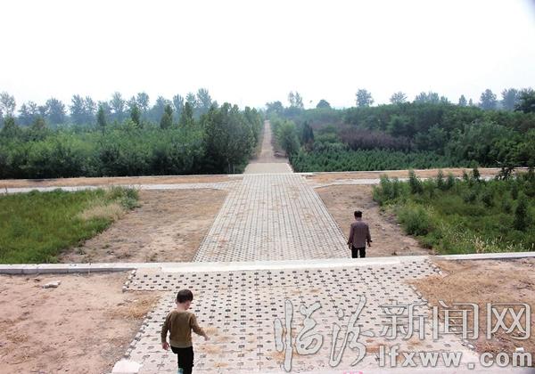 侯马下平望村:绿色宜居新家园