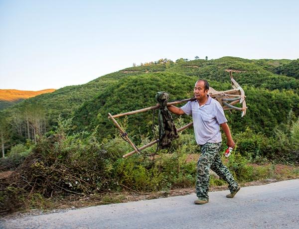传统播种（6张）